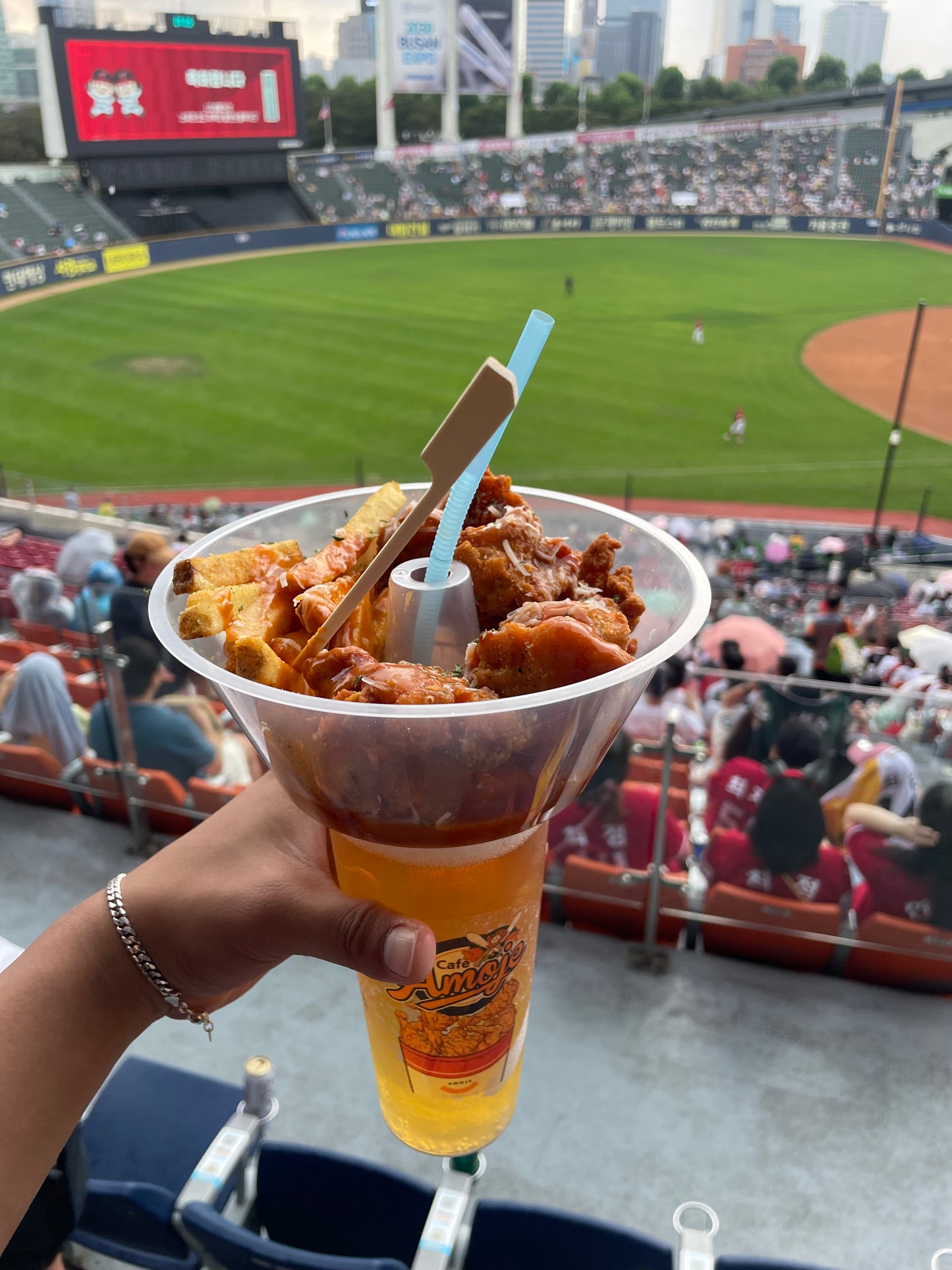 Watching Baseball in Seoul & Local Food Experience